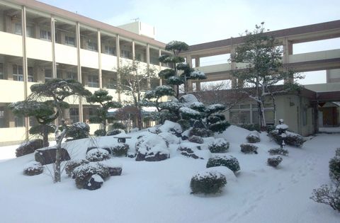 校舎冬中庭