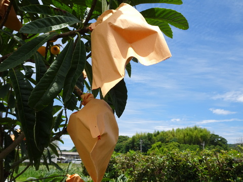 DSC00374