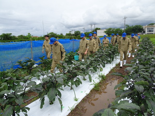 DSC00607