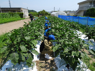 DSC00864