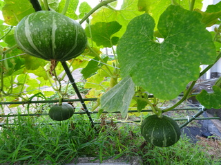 DSC00814