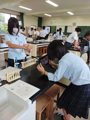 IMG_20250710_101945_700