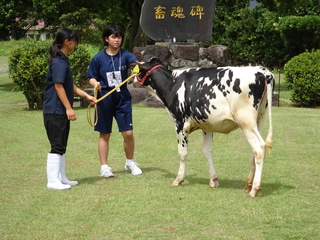 DSC01695