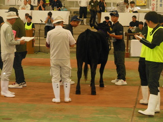 DSCN5613