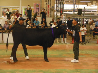 DSCN5618