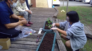 WIN_20251017_13_59_07_Pro