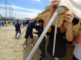 DSC00386