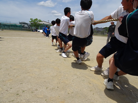 DSC00551