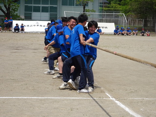 DSC00552