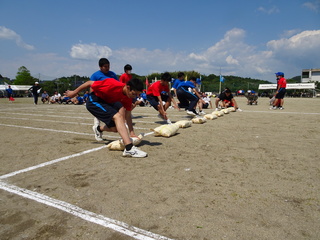 DSC00771