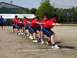 DSC00788