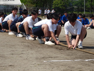 DSC00804