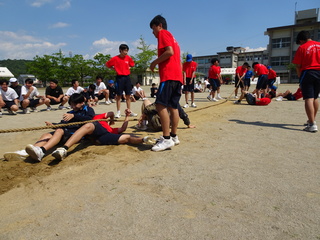 DSC00818