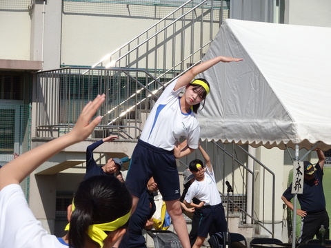 DSC00973