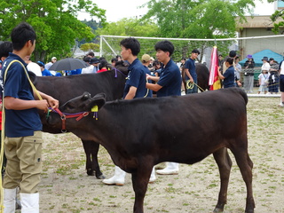 DSC01229