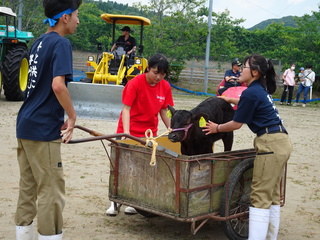DSC01237