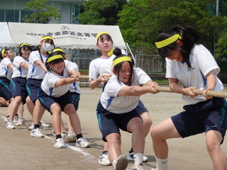 DSC01314