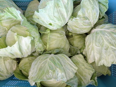 DSC01566