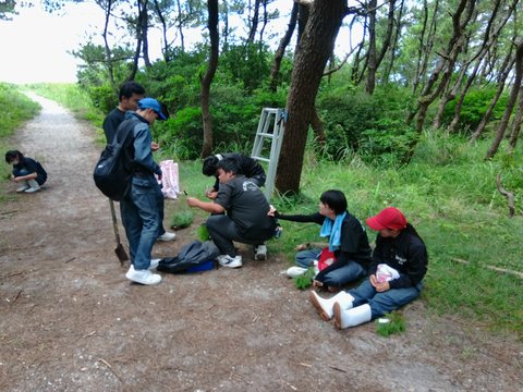 100_0080クロマツ観察後の記録の様子