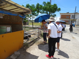DSC03496