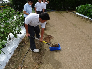 02★DSC04248　畑の土　採取