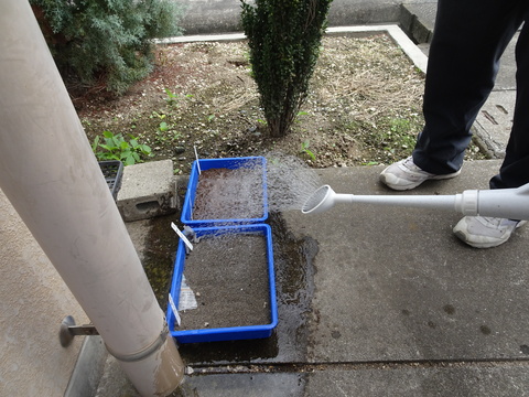 07★DSC04275 灌水　水かけ