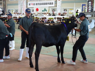 DSC04831